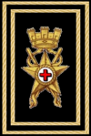 Bandeau pour officiers supérieurs