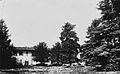 Veduta della villa all'interno del parco (1884)