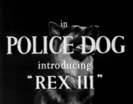 Police Dog Film 1955.png