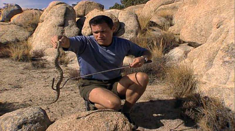 File:Jeff Corwin con un serpente a sonagli.jpg