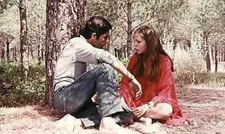 Violentata sulla sabbia è un film del 1971 diretto da Renzo Cerrato.