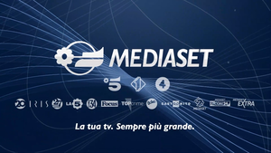 Mediaset: Storia, Struttura e partecipazioni, Settori e canali