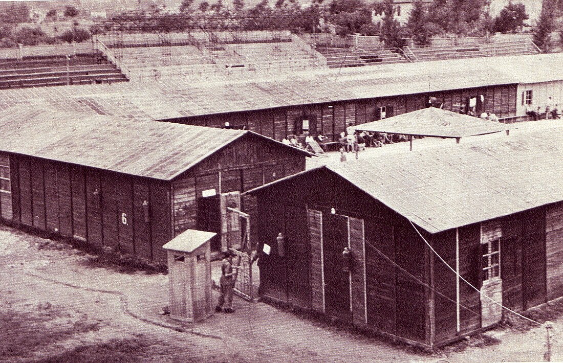 Campo di concentramento di Coltano