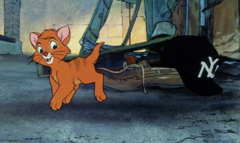 Oliver & Company