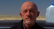 Miniatura per Mike Ehrmantraut