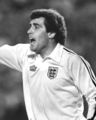 Peter Shilton Euro 1980.jpg