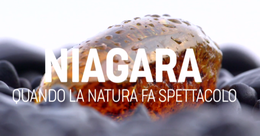 Niagara Rai2.png