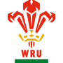 Miniatura per Nazionale di rugby a 15 del Galles