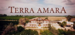 Maremma d'altri tempi. Viaggio fra gli eventi, le condizioni sociali, i  personaggi di una terra amara