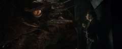 Lo Hobbit - La desolazione di Smaug