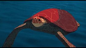 La tortue rouge.jpg