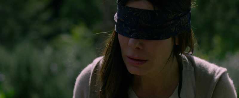 File:Bird Box.png