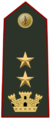 Distintivo di qualifica di direttore vice dirigente del Corpo nazionale dei vigili del fuoco
