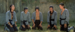 Shao Lin wu zu 1974 film.png