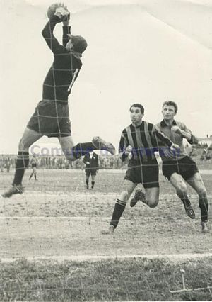 Venezia Football Club: Storia, Cronistoria, Colori e simboli