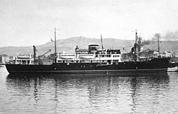 MN Adriatico1.jpg