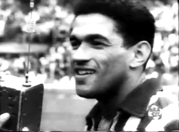 Garrincha, alegria do povo.png