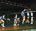 Volleyball féminin All Star Game 1993.jpg