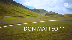 Episodi di Don Matteo (undicesima stagione)