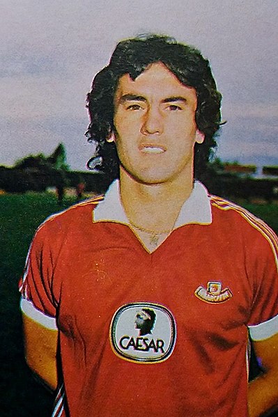 File:Giuliano Belluzzi - US Arezzo 1982-83.jpg