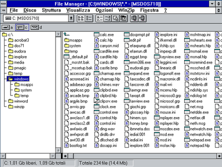 MSDOS Window Manager. Manager Wiki словарь.