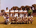 Asociația de fotbal Fiorentina 1973-74.jpg