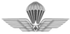 parachutiste militaire license.png