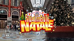 Finalmente Natale: Trama, Ascolti, Note