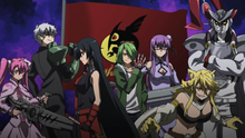 Akame ga Kill! Um animê de esquerda - O Partisano