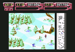 Professional Ski Simulator.png