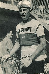 Marcello Pellegrini.jpg