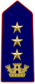 Insignia de grado para hombrera de subinspector nacional del Cuerpo de Enfermeras Voluntarias de la Cruz Roja Italiana