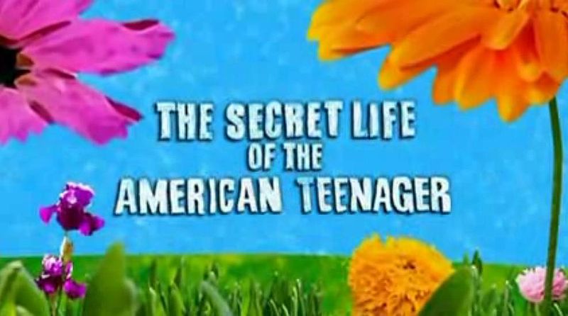File:La vita segreta di una teenager americana.jpg