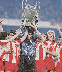 Étoile Rouge - Coupe des Champions 1990-91 - Stevan Stojanović.jpg