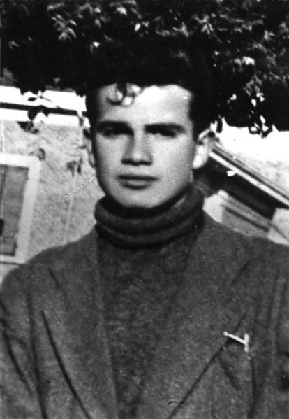 File:Vanzio Spinelli.jpg