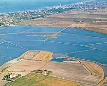 Vista aerea delle saline.