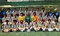 Ascoli Calcio 1898 1981-82.jpg