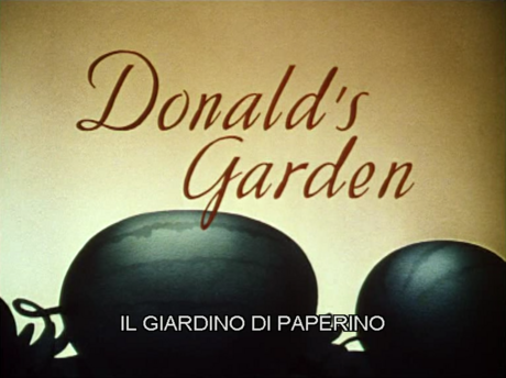 Il giardino di Paperino