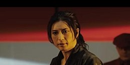 Bunraku2010.JPG