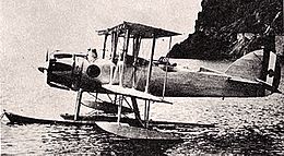 Piaggio P.10.jpg