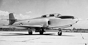 Fiat G.80: Storia del progetto, Tecnica, Versioni