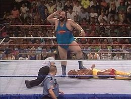 SummerSlam (1990) .jpg