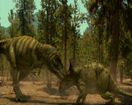 Tricératops contre Tyrannosaurus.png