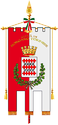 Borgaro Torinese - Flag