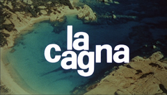 La cagna (film 1972)