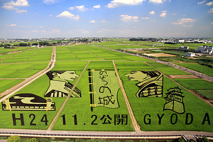 ファイル:Gyoda Paddy Field Art Of Gyoda City 1.JPG