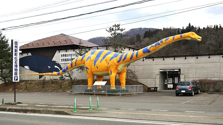 ファイル:Shinshu Shinmachi Fossil Museum.jpg