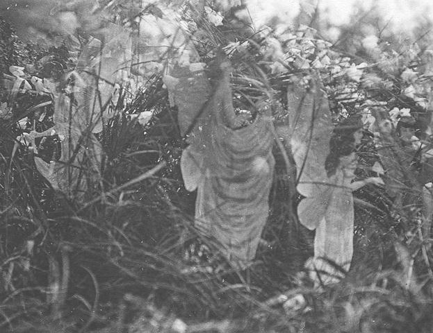 ファイル:Cottingley-sunbath.jpg