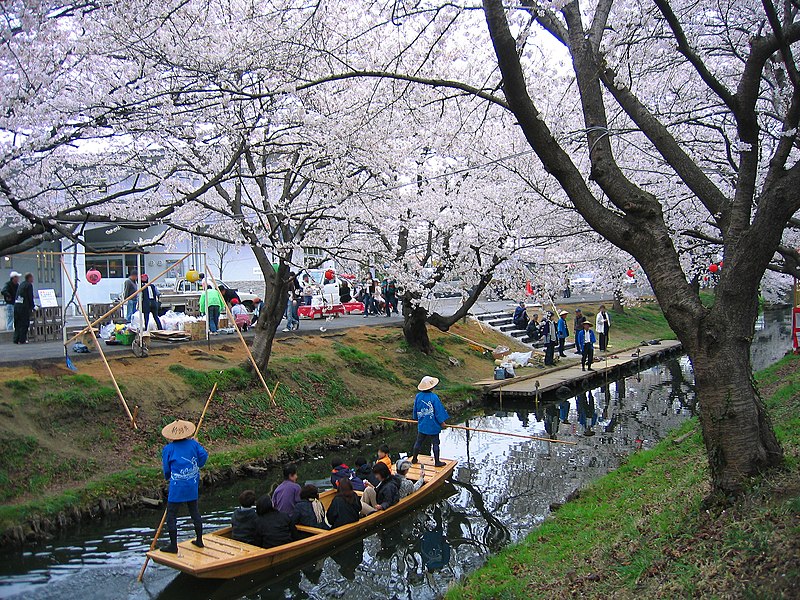 ファイル:Kawagoe Boating In Shingashi River 1.JPG