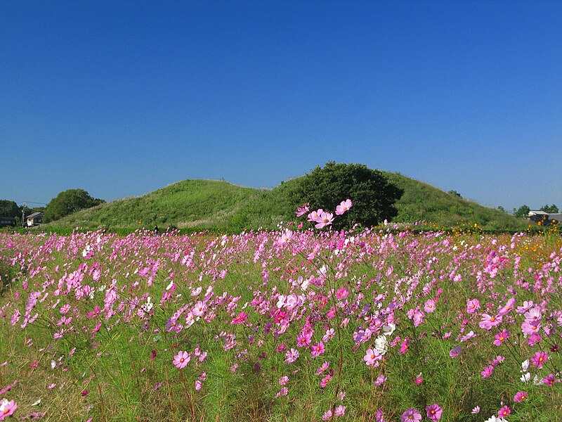 ファイル:Gyoda Futagoyama Tumulus In Autumn 1.JPG